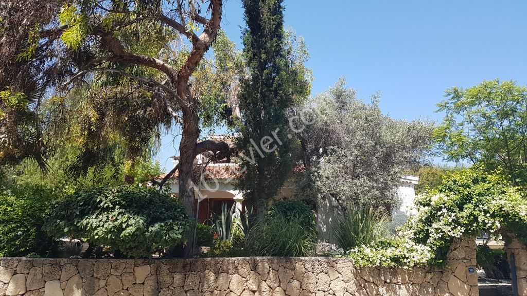 Girne Alsancak da Escape Beach'e Yürüme Mesafesinde 1 Dönüm Arazi İçerisinde 240m2 - 3+1 Özel Yüzme Havuzlu Lüx Villa -Banka Kredisine Uygundur