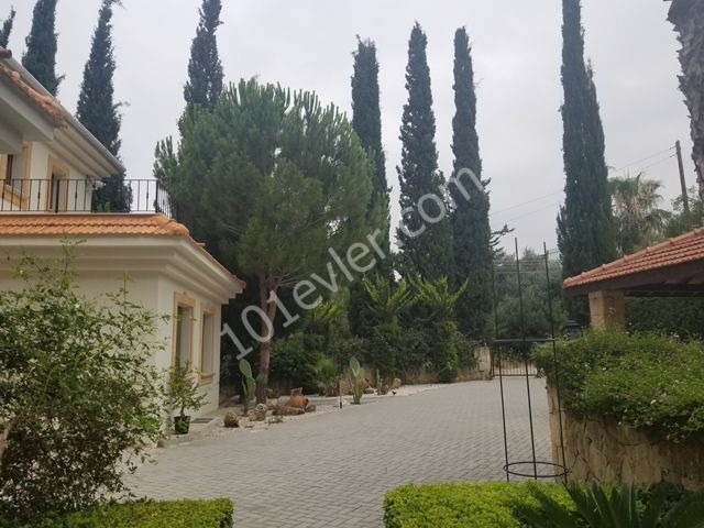 Luxury villa for sale 7+3