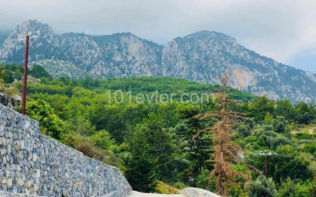 Girne Lapta da Muhteşem Deniz Manzarası Olan Lux Villa -Banka Kredisine uygundur