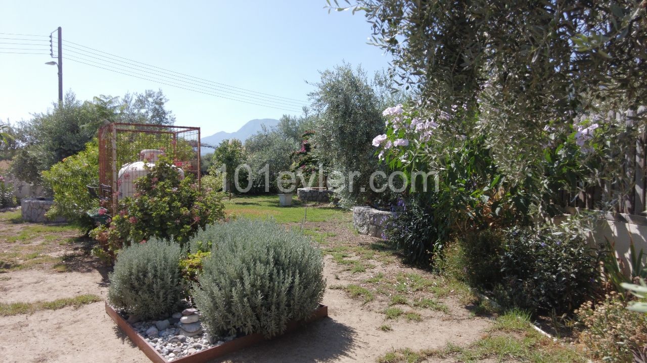 Kyrenia Olivenhain Region in 1000m2 Land in 200m2-4+1 Villa-Geeignet für Bankkredit ** 