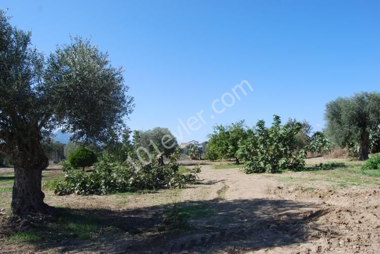 ویلا برای فروش in Ozanköy, گیرنه