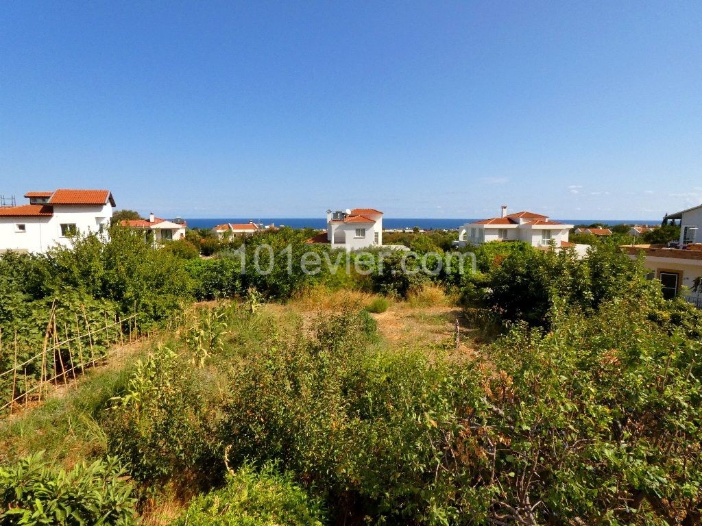 Villa Kaufen in Lapta, Kyrenia