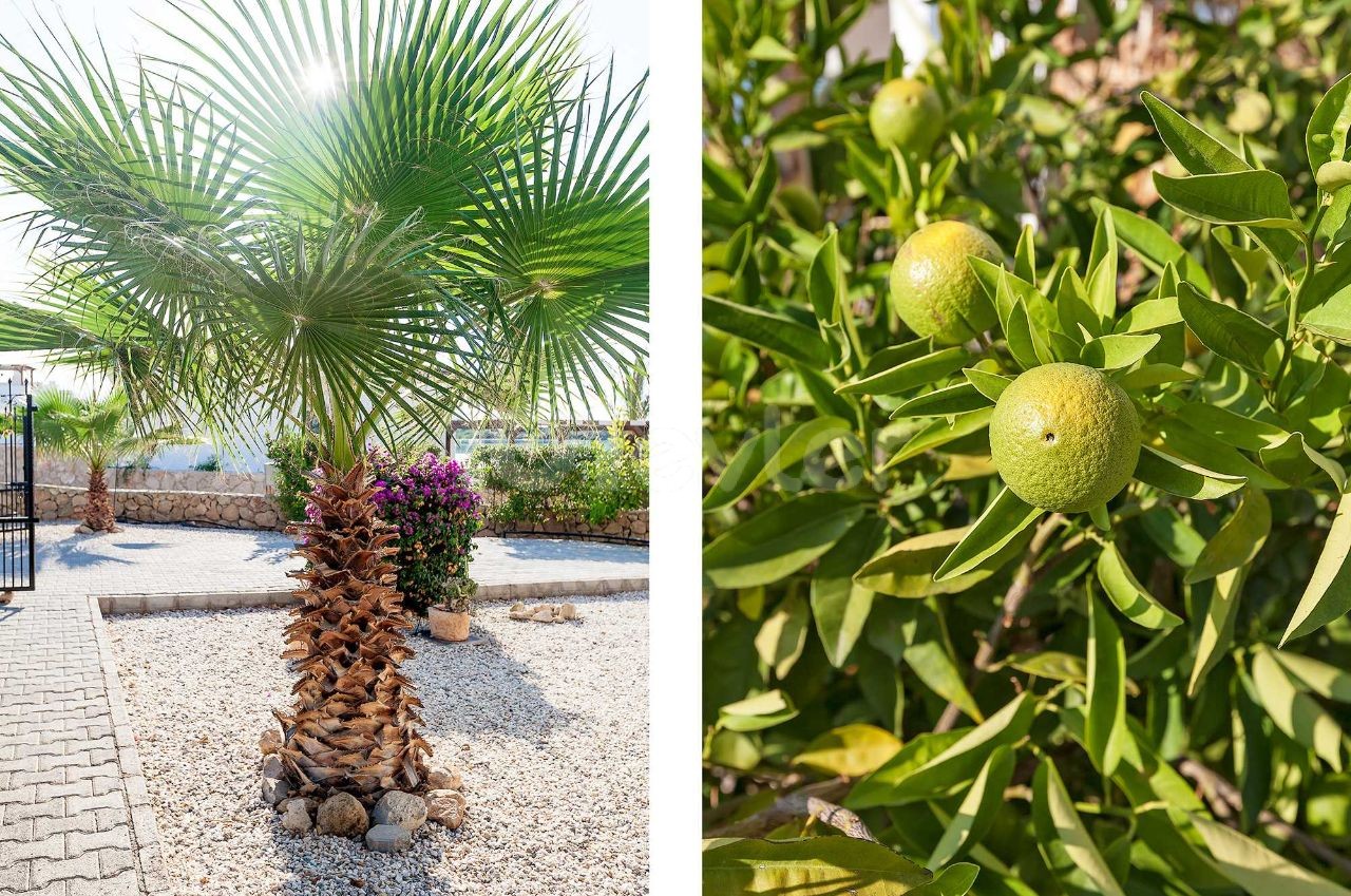 Girne'de Satılık 5 Yatak Odalı Lüks Villa