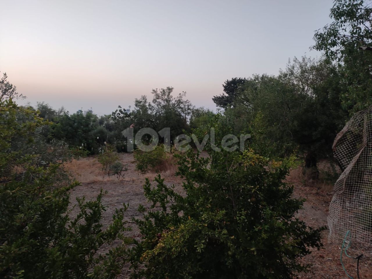 Grundstück mit Meerblick zum Verkauf in Alsancak, geeignet für den Bau einer Villa