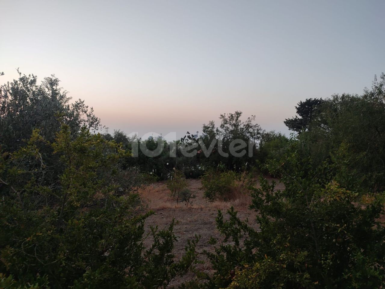 Grundstück mit Meerblick zum Verkauf in Alsancak, geeignet für den Bau einer Villa