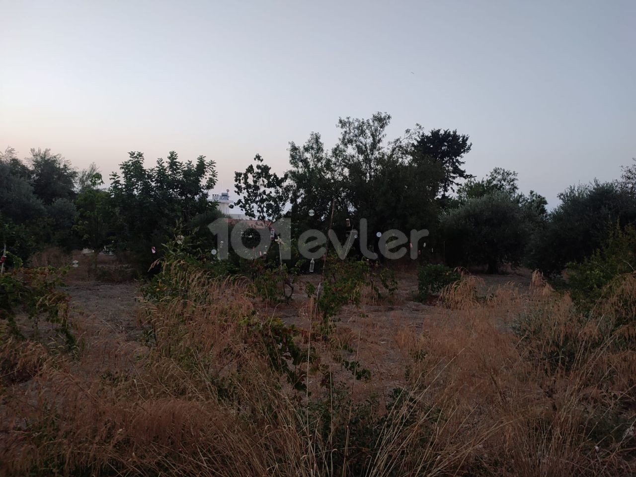 Sea view plot for sale in Alsancak, suitable for villa construction