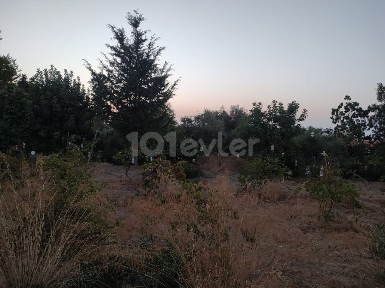 Sea view plot for sale in Alsancak, suitable for villa construction