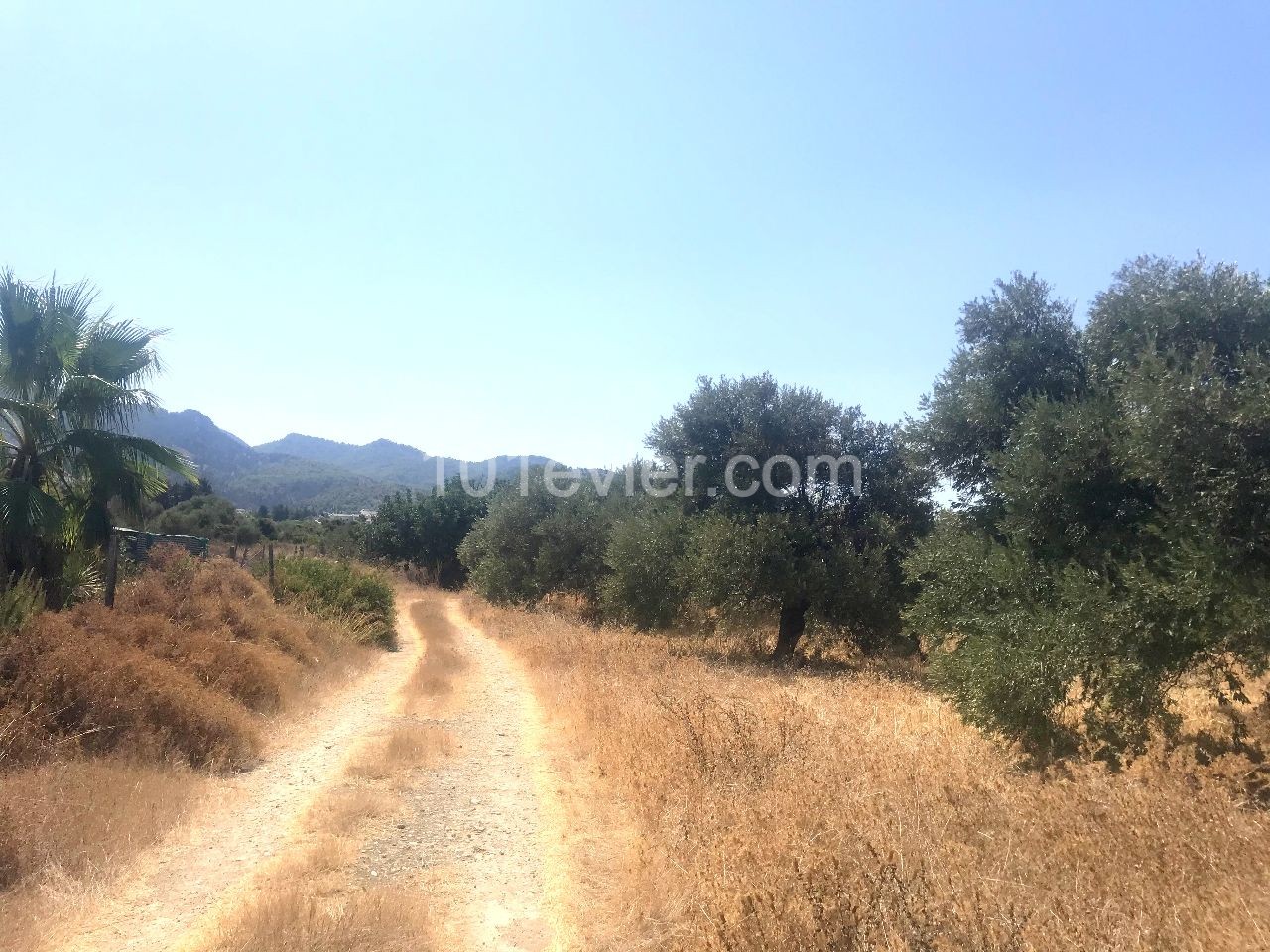 A Turkish koch land 500 m from the sea, which can be offered for construction in Kyrenia Karsiyaka. 05338403555 ** 