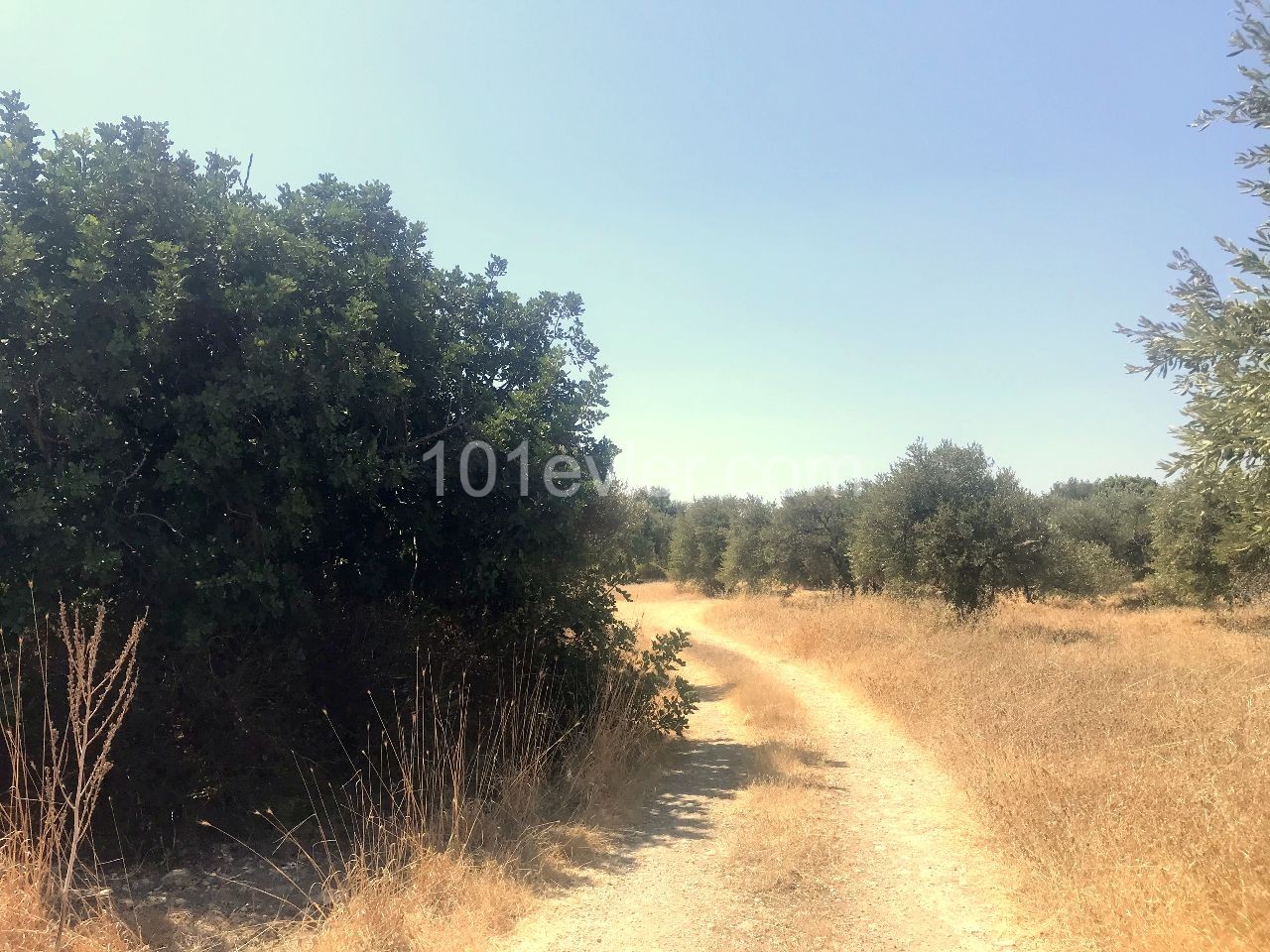 A Turkish koch land 500 m from the sea, which can be offered for construction in Kyrenia Karsiyaka. 05338403555 ** 