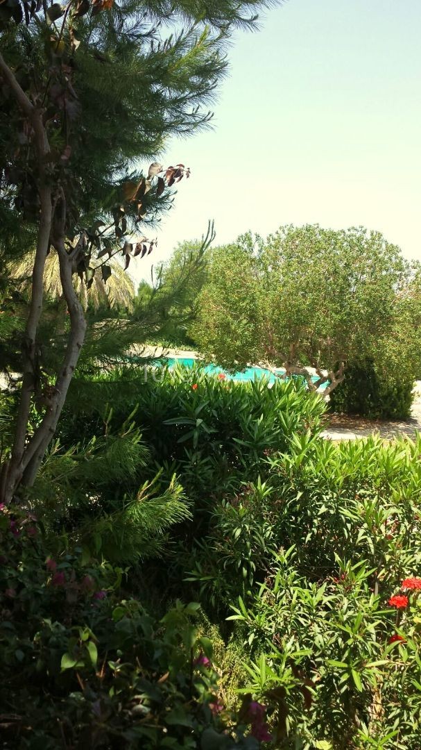 A long-term villa for rent in Bellapais, Kyrenia. 3 bedrooms with commynual pool. 05338403555 ** 