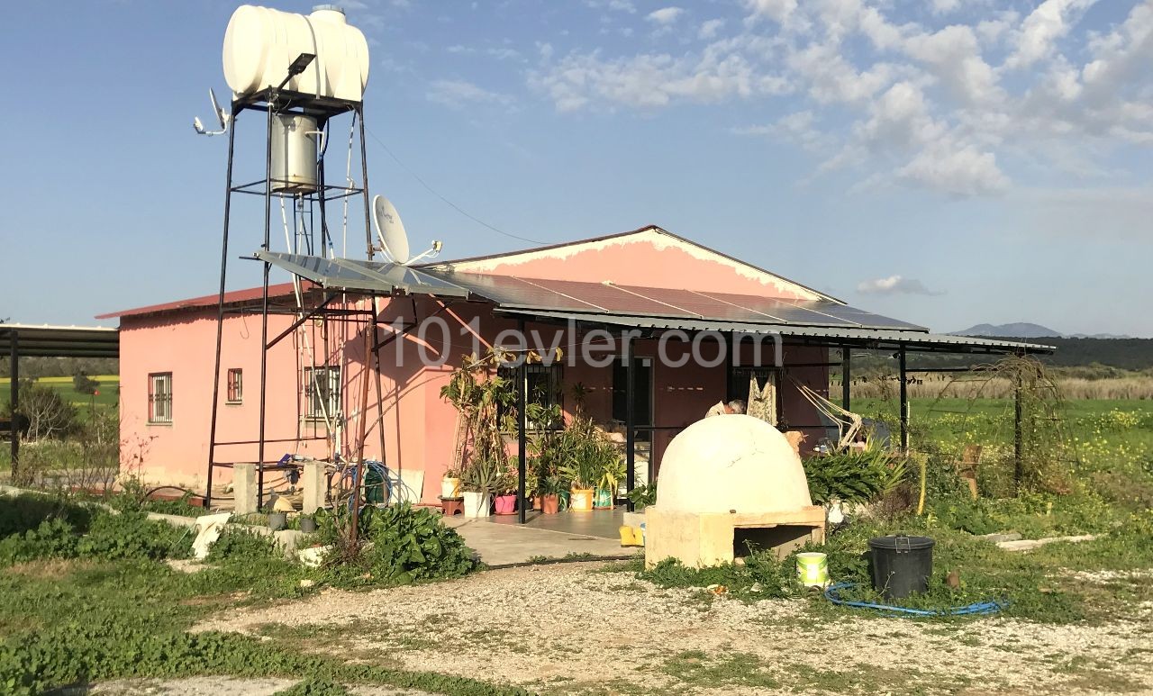 Bauernhaus zum Verkauf in einem türkischen Land von etwa 4,5 Hektar in Kyrenia Mediterranean Village. 05338403555 ** 