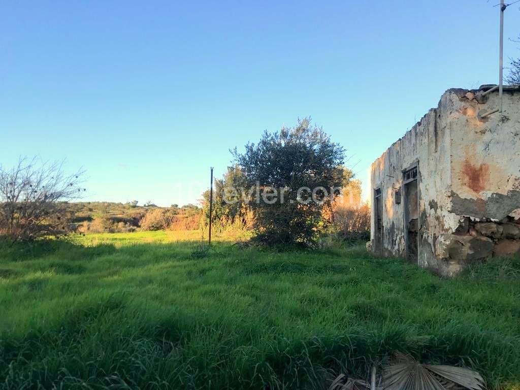 Approximately half a decare of land (656m2) in Girne Akdeniz village 05338403555 ** 