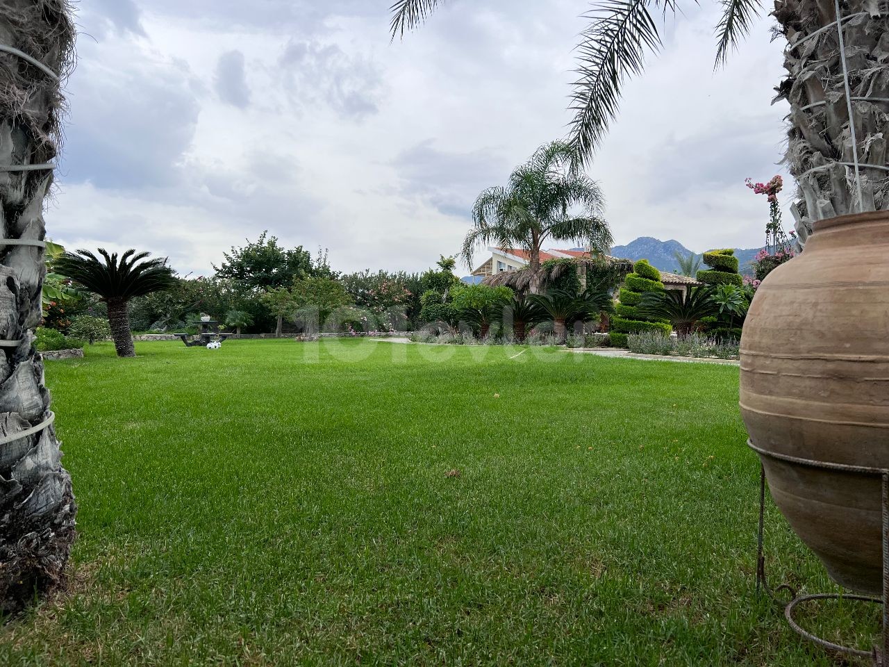 Turkish title Villa for sale in Lapta in 3144m2 land(aprox 2,5 donum of land) Gorgeous garden that makes you feel like in a botanical garden, pool bar&kitchen, water well and a lot of details need to be seen. 05338403555