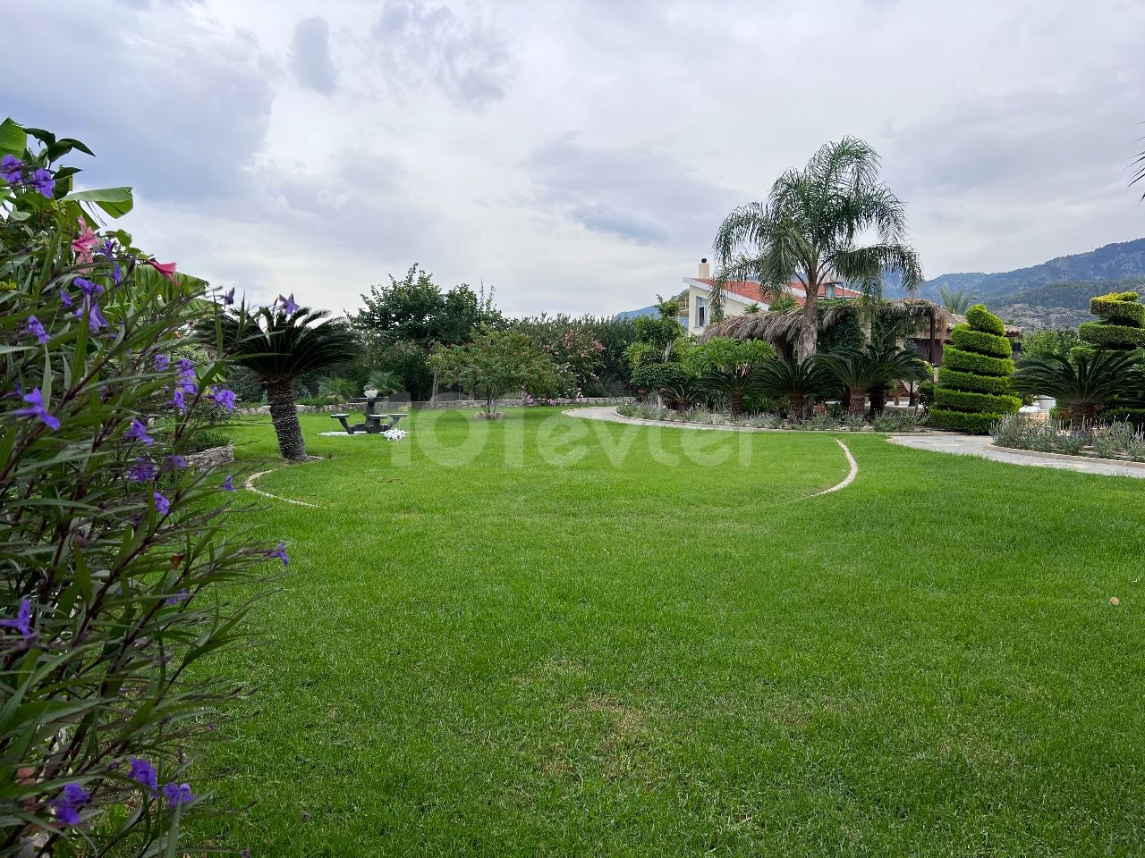 Turkish title Villa for sale in Lapta in 3144m2 land(aprox 2,5 donum of land) Gorgeous garden that makes you feel like in a botanical garden, pool bar&kitchen, water well and a lot of details need to be seen. 05338403555