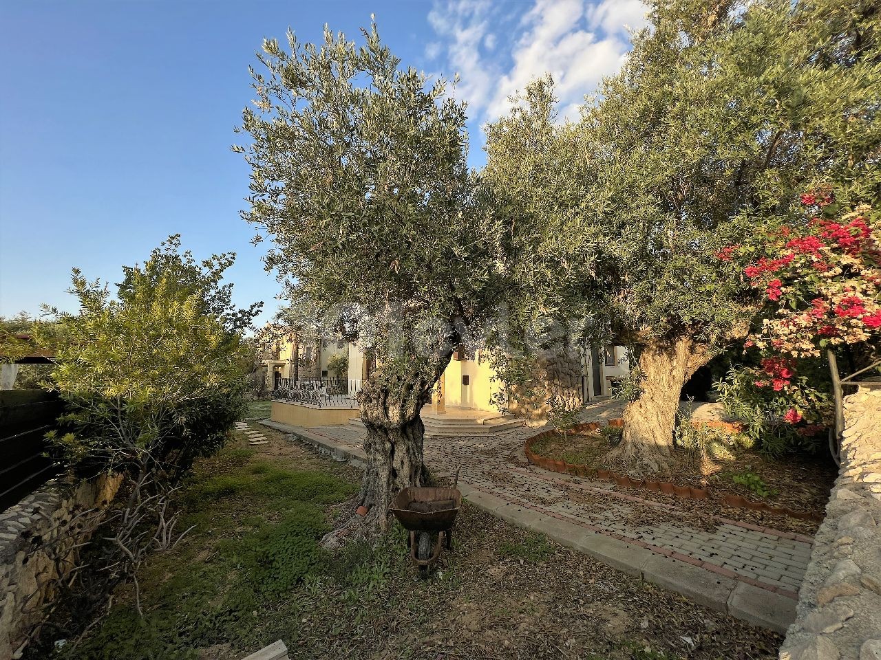 Girne Esentepe'de mükemmel lokasyonda 3 yatak odalı bahçeli villa. 05338403555 /05488403555