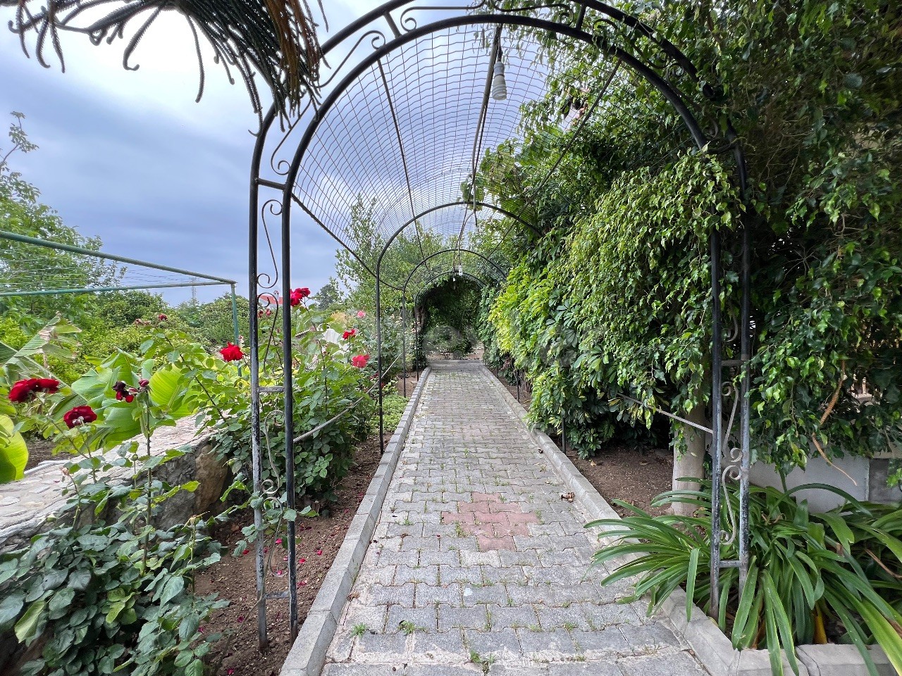 Freistehendes Haus inmitten grüner Natur im Dorf Lapta. 05338403555