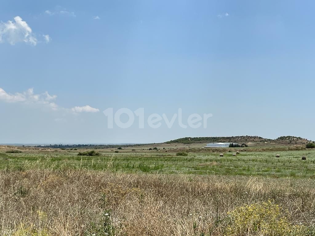 Field For Sale in Aslanköy, Famagusta