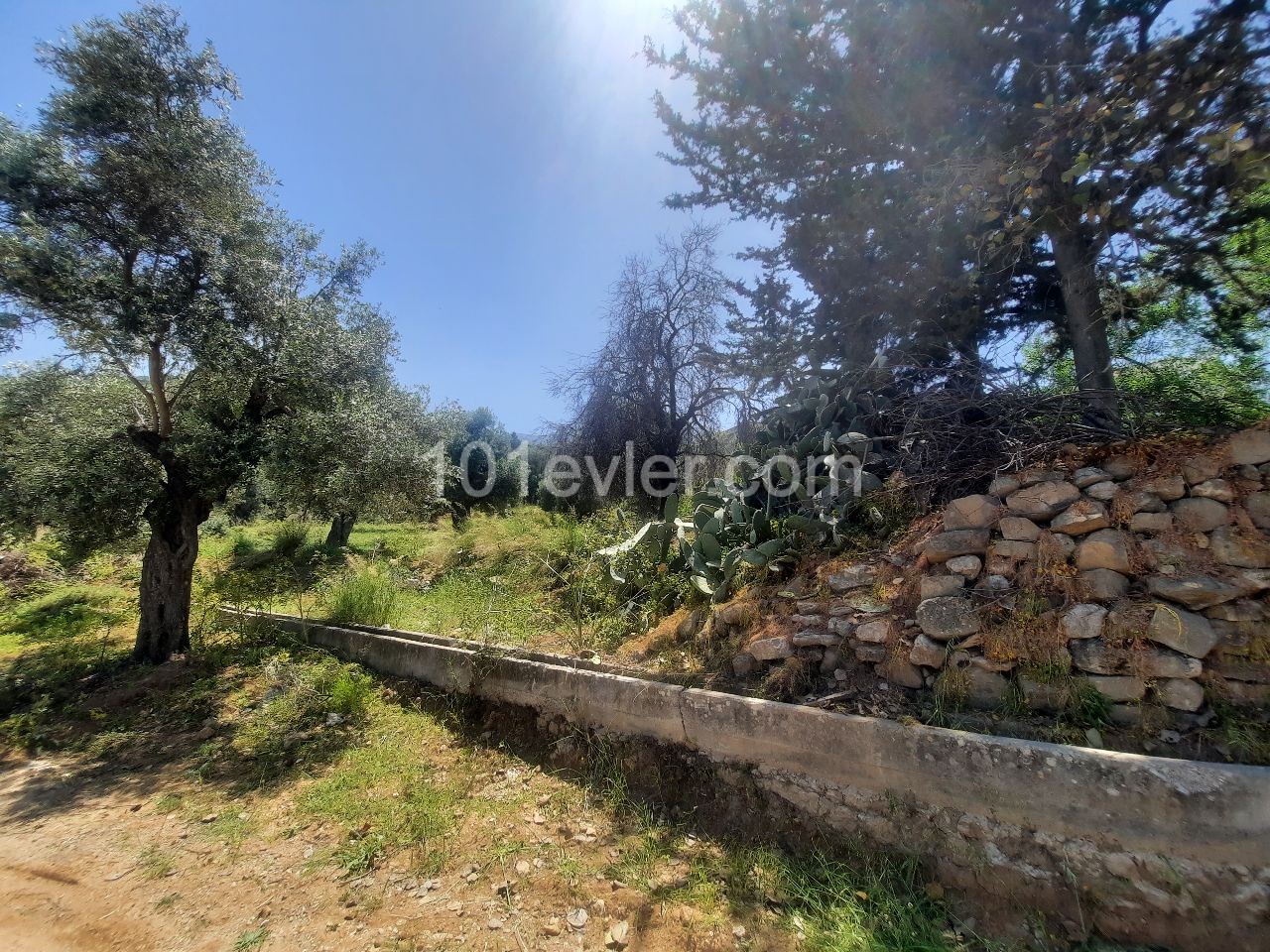 Residential Zoned Plot For Sale in Alsancak, Kyrenia