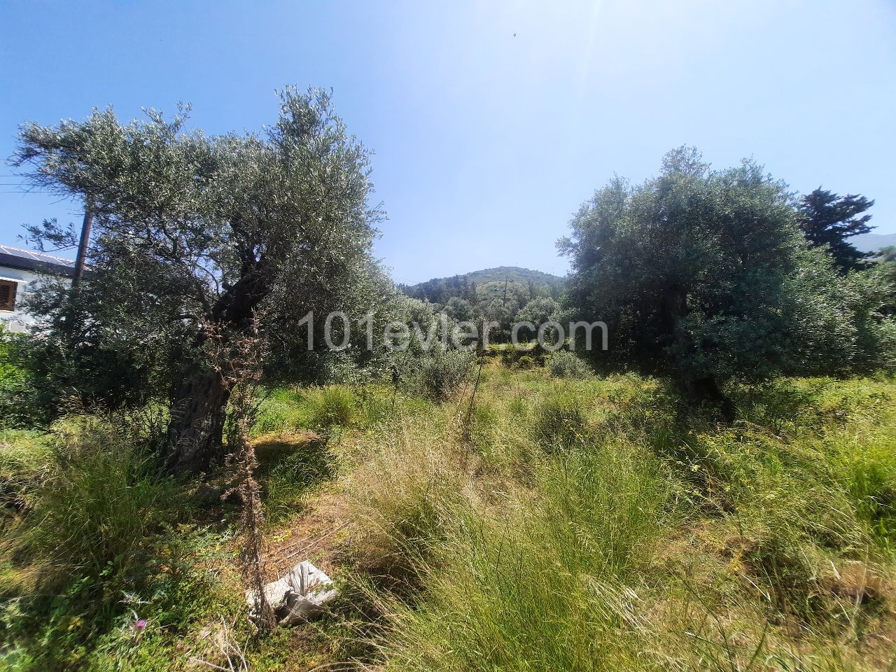 Residential Zoned Plot For Sale in Alsancak, Kyrenia