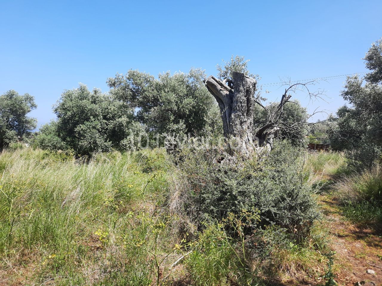 Residential Zoned Plot For Sale in Alsancak, Kyrenia