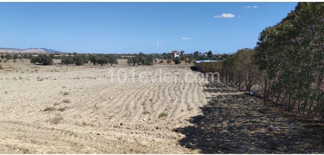 30 minutes to Nicosia, 15 minutes to Famagusta, 4 decares of land, zero to the road, suitable for the construction of a villa. A vehicle is taken as a down payment. ** 