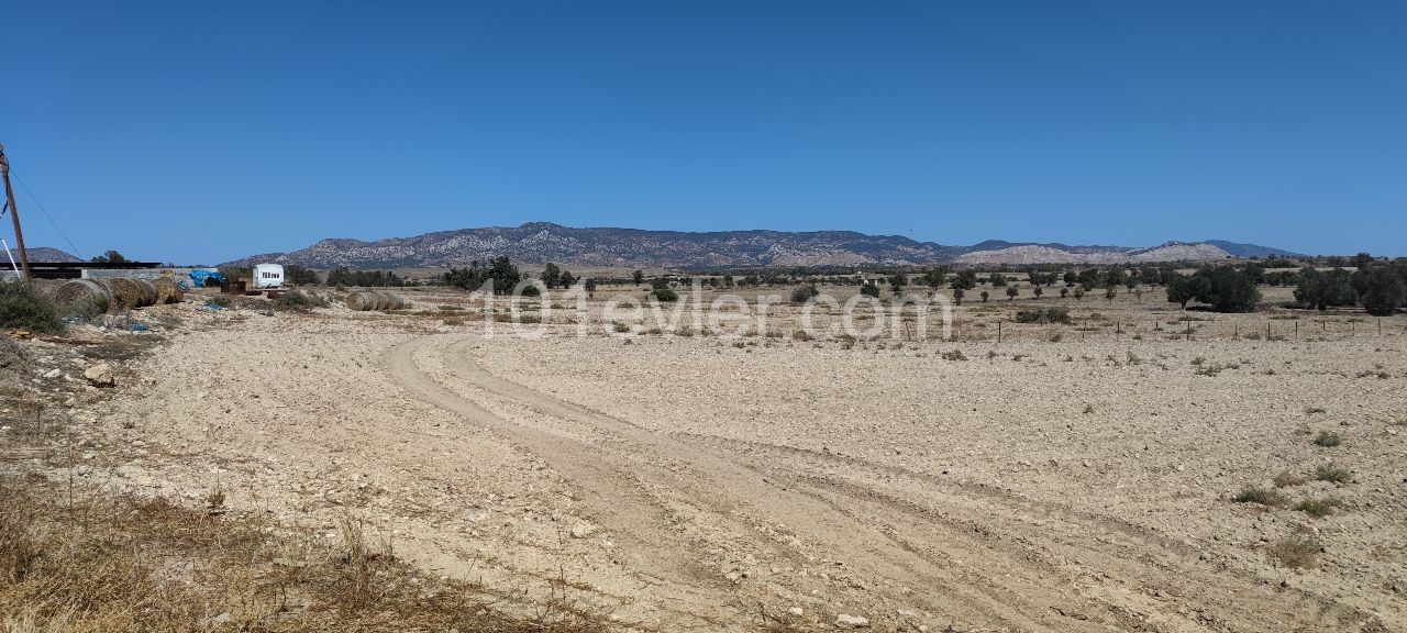 30 minutes to Nicosia, 15 minutes to Famagusta, 4 decares of land, zero to the road, suitable for the construction of a villa. A vehicle is taken as a down payment. ** 
