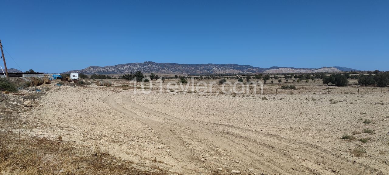 30 min von Nikosia oder 15 min von Magosa oder 4 Hektar Land auf der Straße, die für den Bau der Villa geeignet ist.Das Fahrzeug wird als Anzahlung mitgenommen. ** 