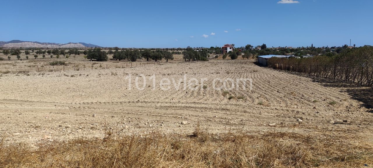 30 minutes to Nicosia, 15 minutes to Famagusta, 4 decares of land, zero to the road, suitable for the construction of a villa. A vehicle is taken as a down payment. ** 