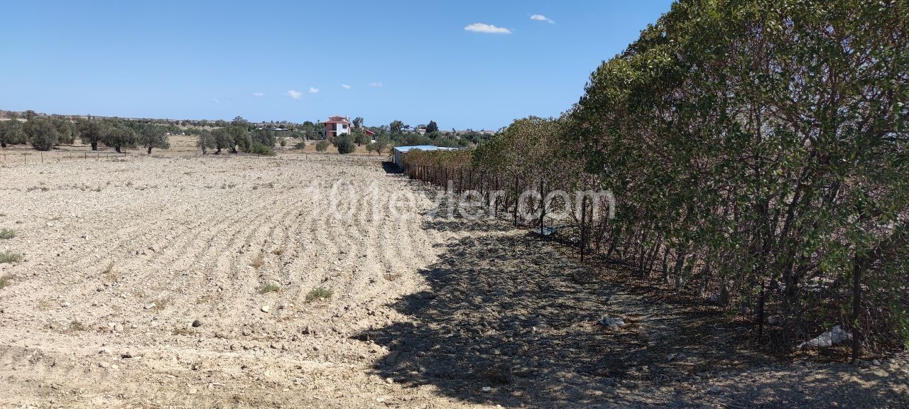 30 minutes to Nicosia, 15 minutes to Famagusta, 4 decares of land, zero to the road, suitable for the construction of a villa. A vehicle is taken as a down payment. ** 