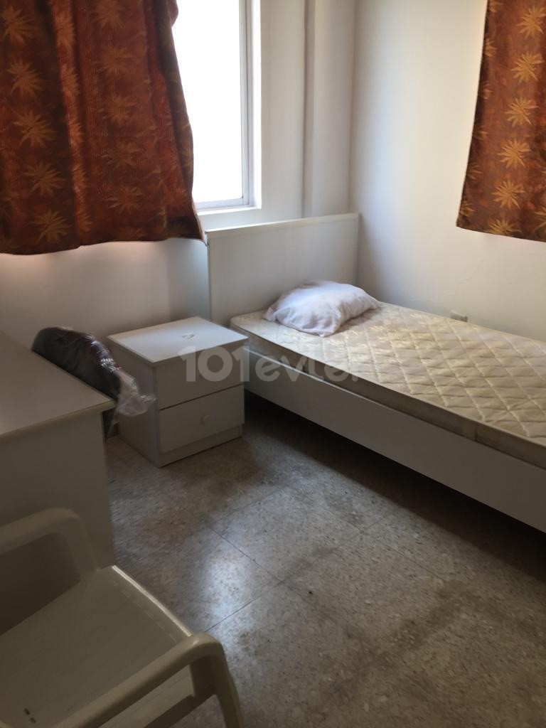 Kaliland bölgesi, 2+1 kiralık daire