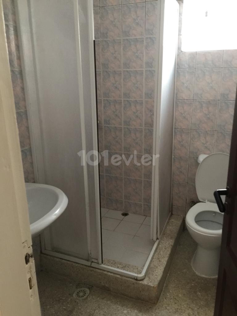 Kaliland bölgesi, 2+1 kiralık daire