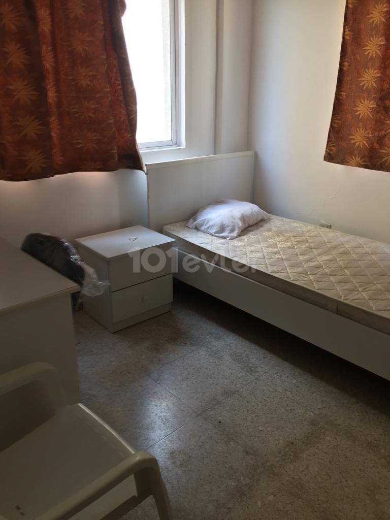 Kaliland bölgesi, 2+1 kiralık daire