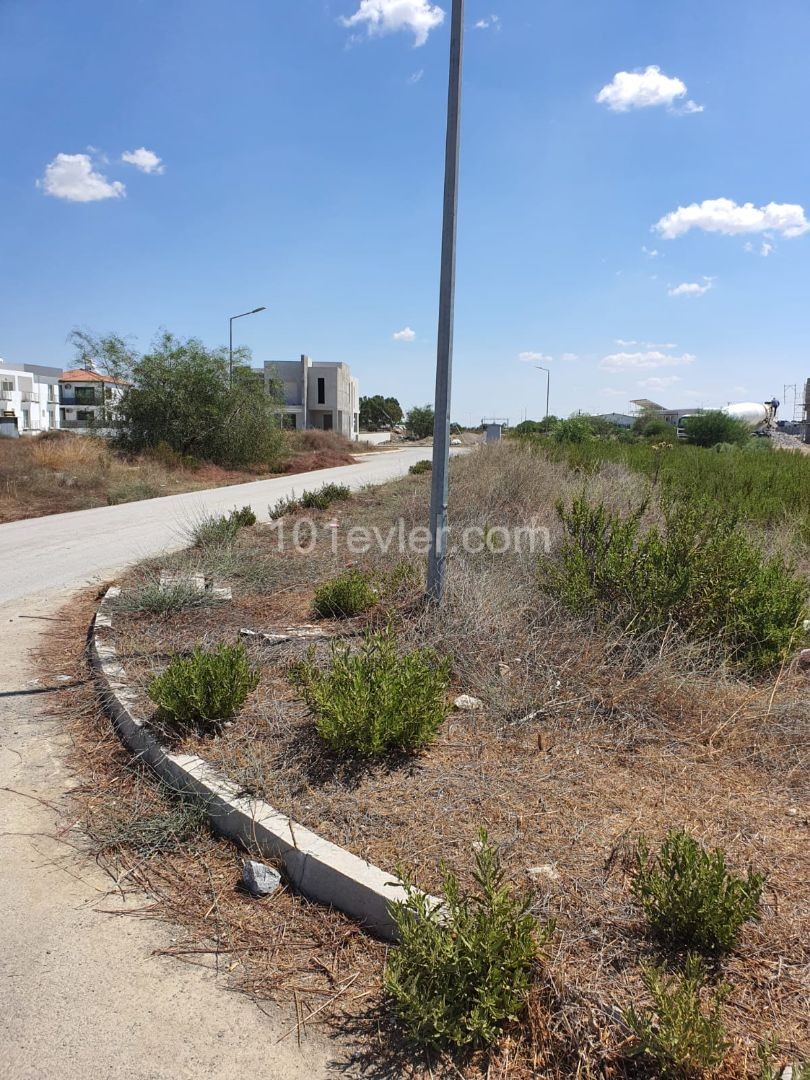 702 square meters of Turkish land for sale in Hamitkoy Decare ** 