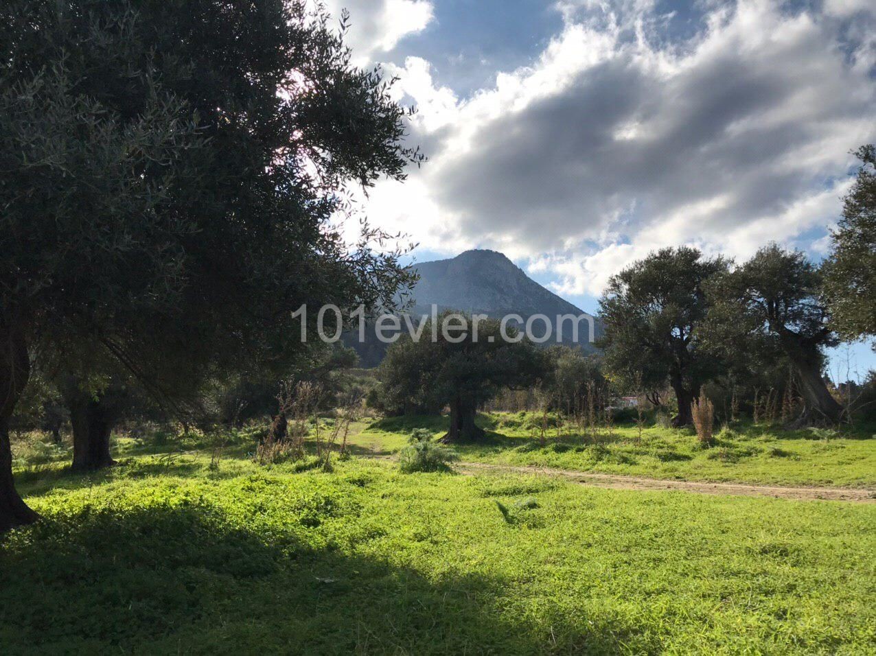 2+1 Bungalow Zu Vermieten In Kyrenia Bellapais ** 