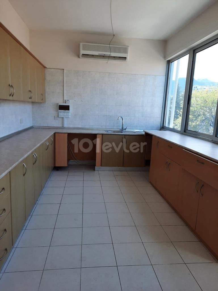 Business To Rent in Girne Merkez, Kyrenia