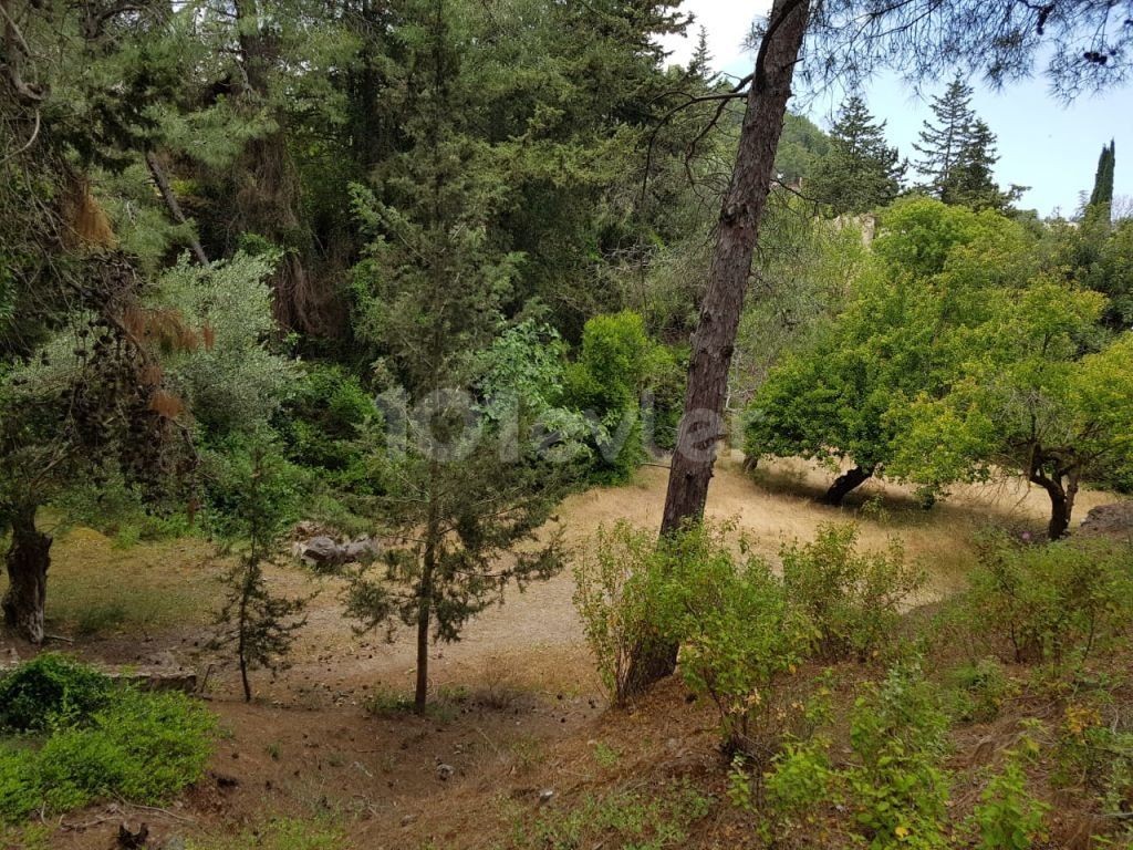 ویلا برای اجاره in Karaağaç, گیرنه