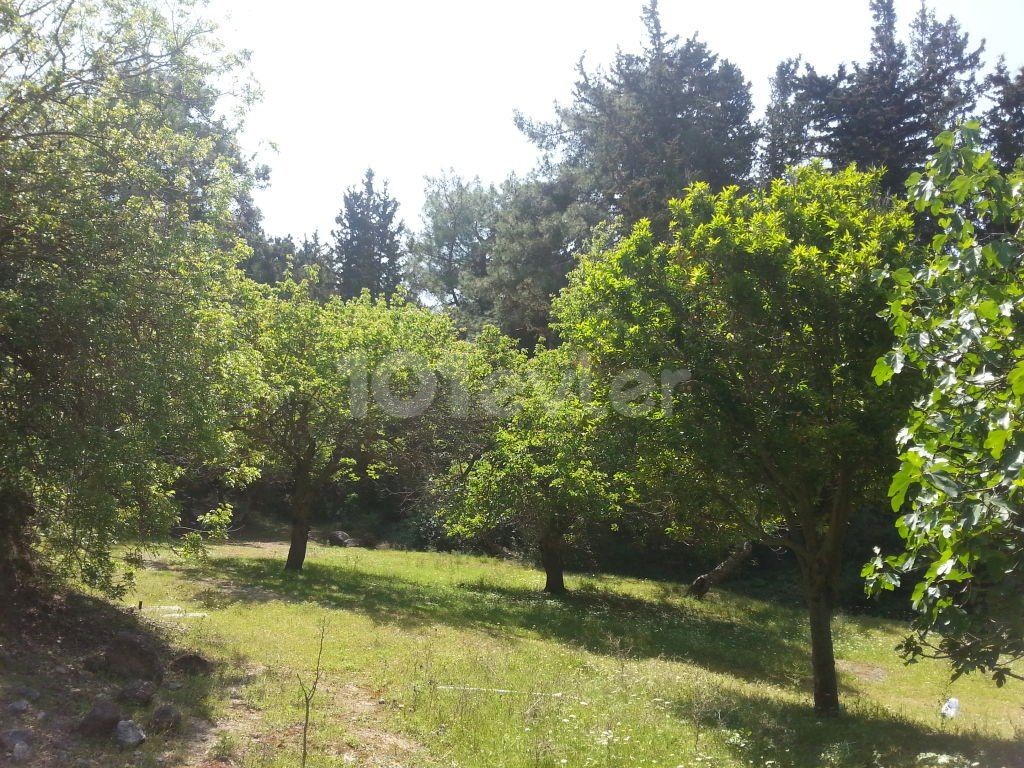 Вилла Арендовать in Karaağaç, Кирения