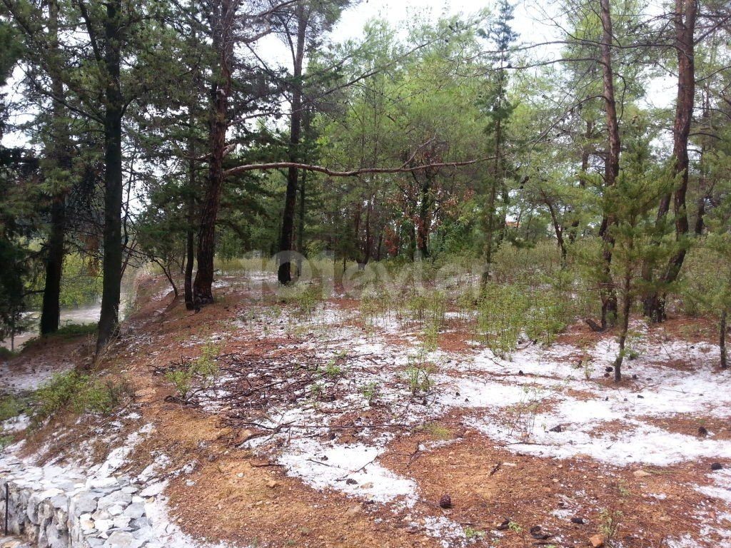 ویلا برای اجاره in Karaağaç, گیرنه