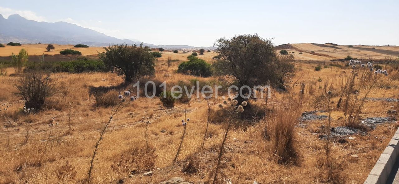 Decommissioned LAND FOR 4 VILALA PROJECTS IN DIKMENDE ** 