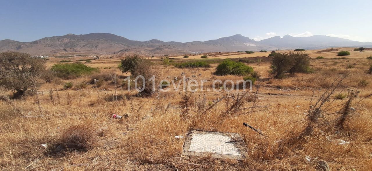 Decommissioned LAND FOR 4 VILALA PROJECTS IN DIKMENDE ** 