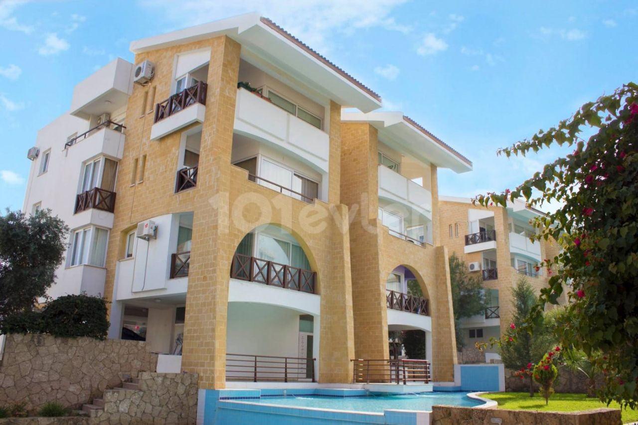 1+1 for Rent in Patalena Life Site