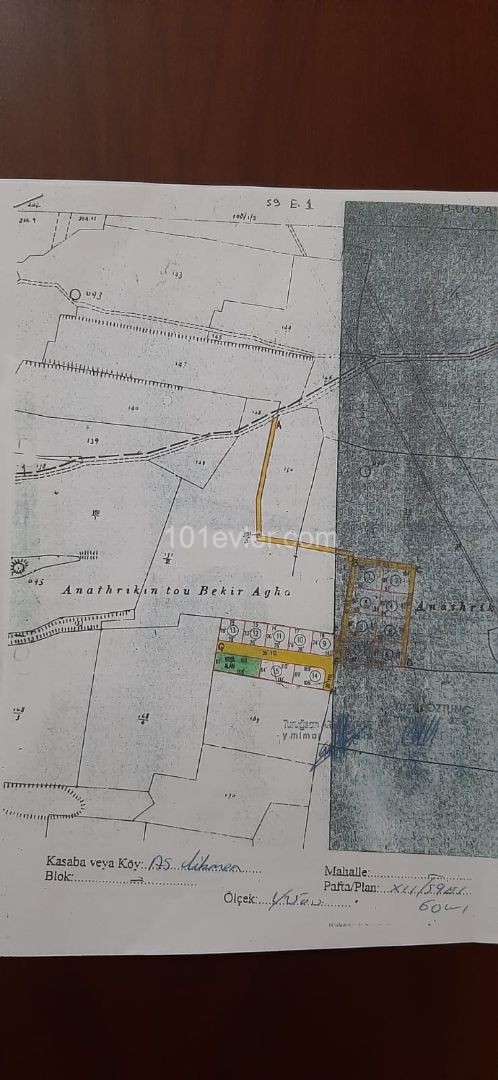 LEFKOŞA -GİRNE ANAYOLUNA 50 M UZAKLIKTA PARSELASYON PROJELİ 11 DÖNÜM EŞDEĞER KOÇANLI ARAZİ