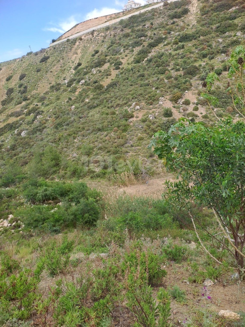 Arapkoy Kyrenia land for sale