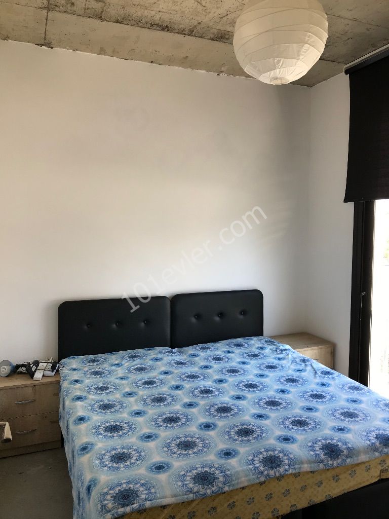 Lefkoşa Yenişehir de 1+1 Kiralık Daire (Ekim Ayında Müsait Olacaktır-Rezerve Yapılır)