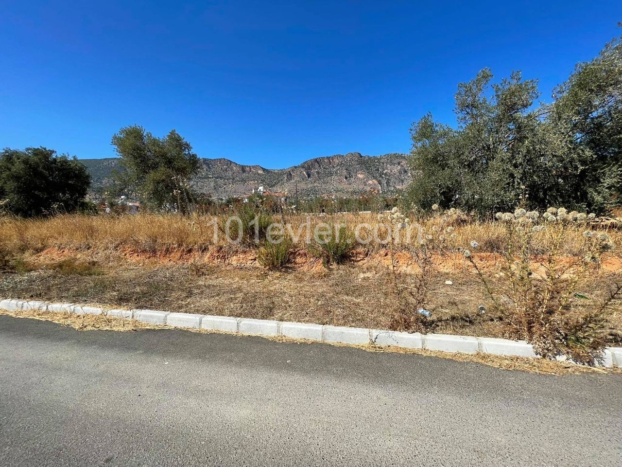 Turkish Cob Plots FOR SALE in Kyrenia Bosphorus at Prices Starting from Stg 55 Dec000! ** 