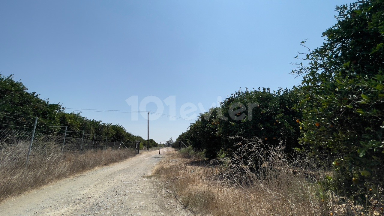 25 Acres of Land in a Great Location Near Kalkan Middle East Technical University ** 