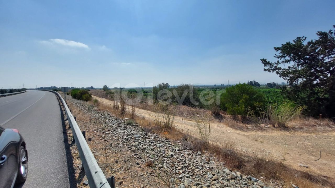 A Field for Sale by the Main Road at the Entrance to Güzelyurt ** 