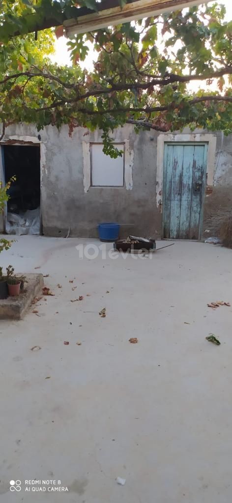 GELEGENHEIT EINFAMILIENHAUS IN PAŞAKOY