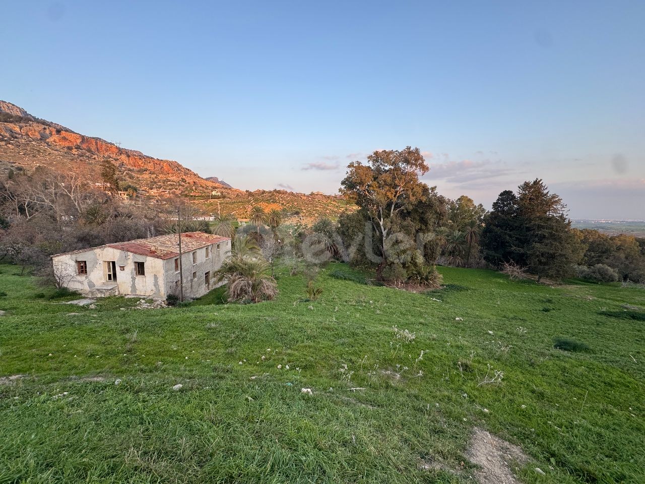 VERKAUFSFLÄCHE MIT EIGENSCHAFTEN VON TÜRKISCHEN PINE CREST REGION ZUR VERKAUF