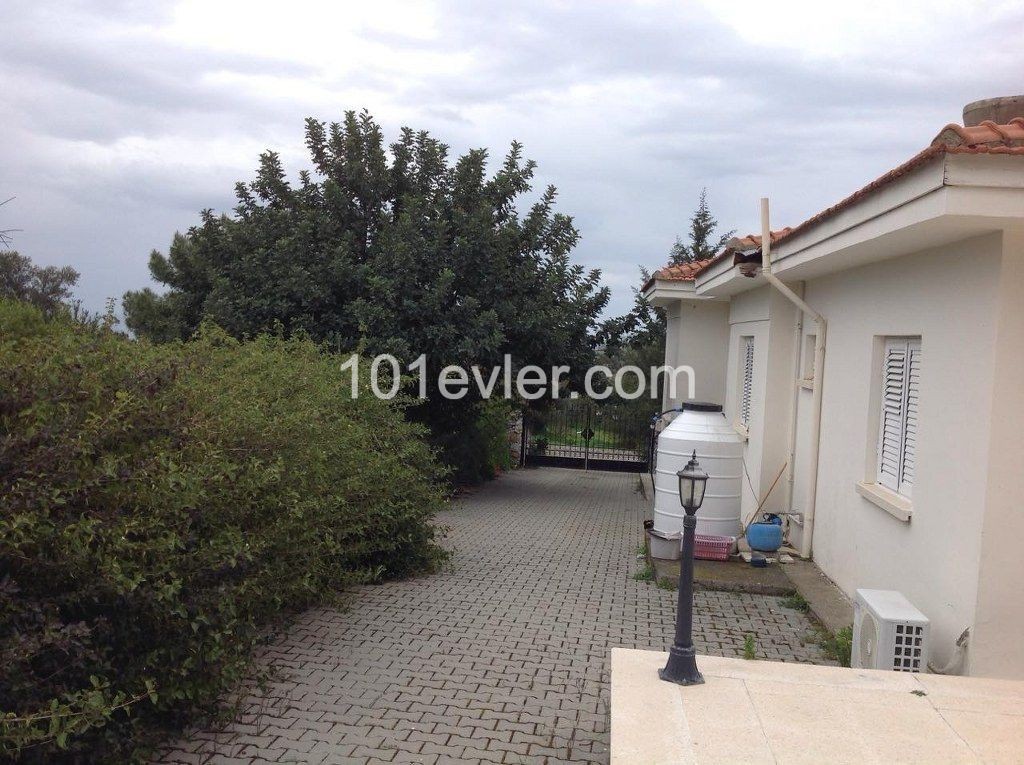 QUIET CALM BANGALOV TYPE INTERNATIONAL WITH NATURE IN ALSANCAK. ** 